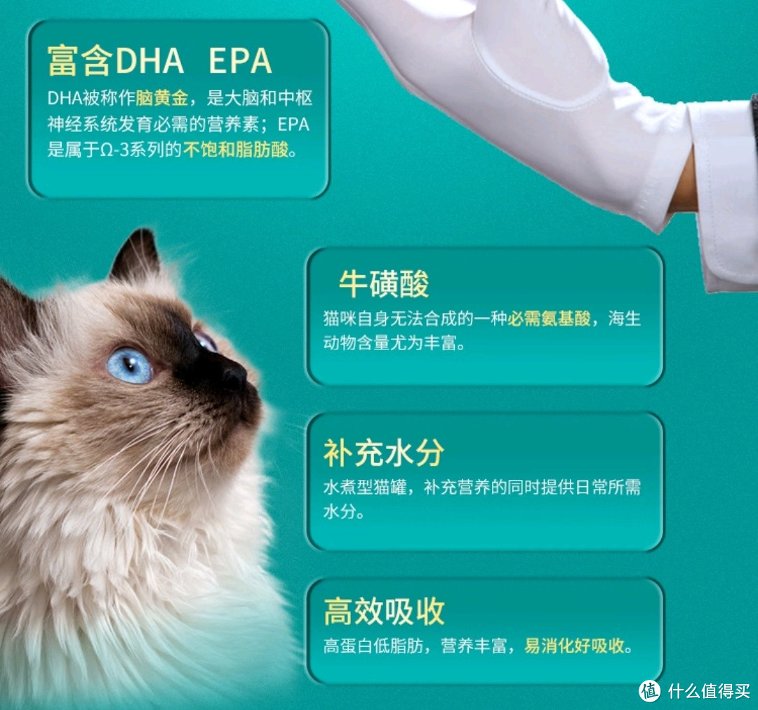 深海吞拿鱼罐头，家里猫猫的最爱