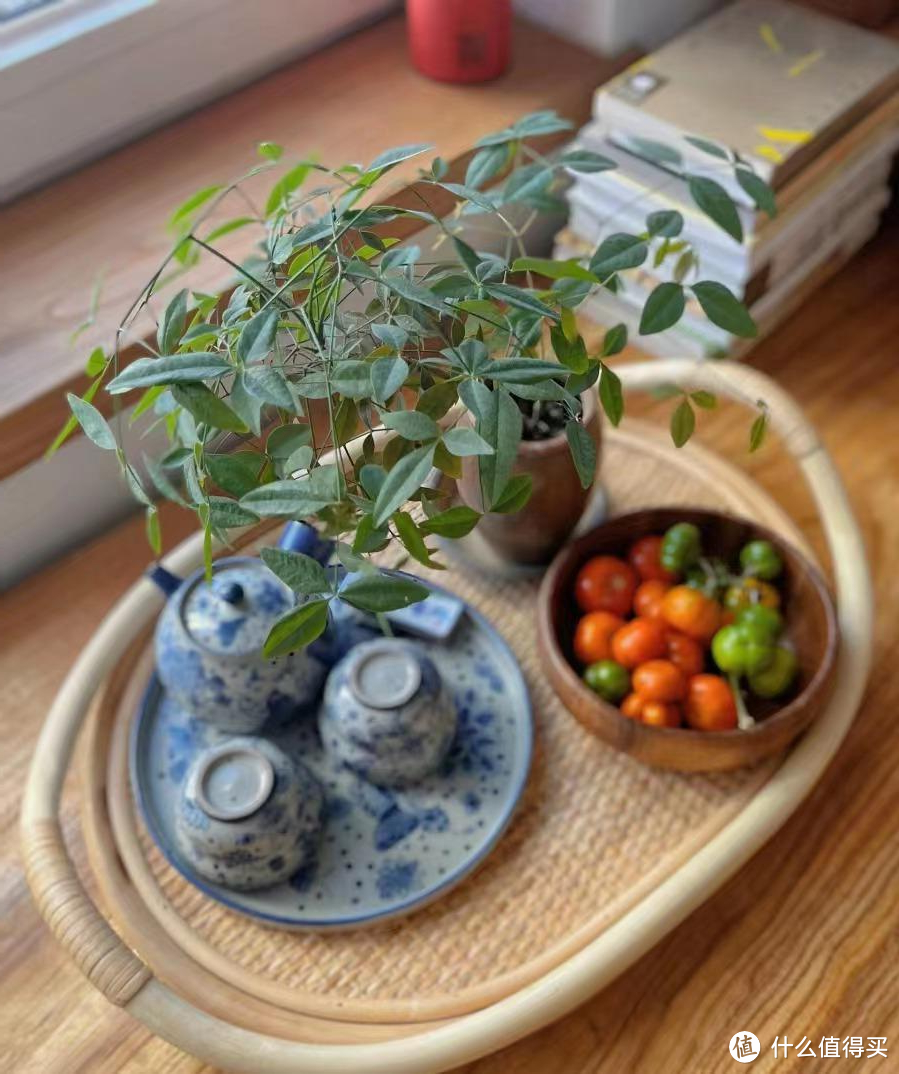 浙江一女禅师,用一株竹子,将小屋布置得高不可攀,那叫一个治愈