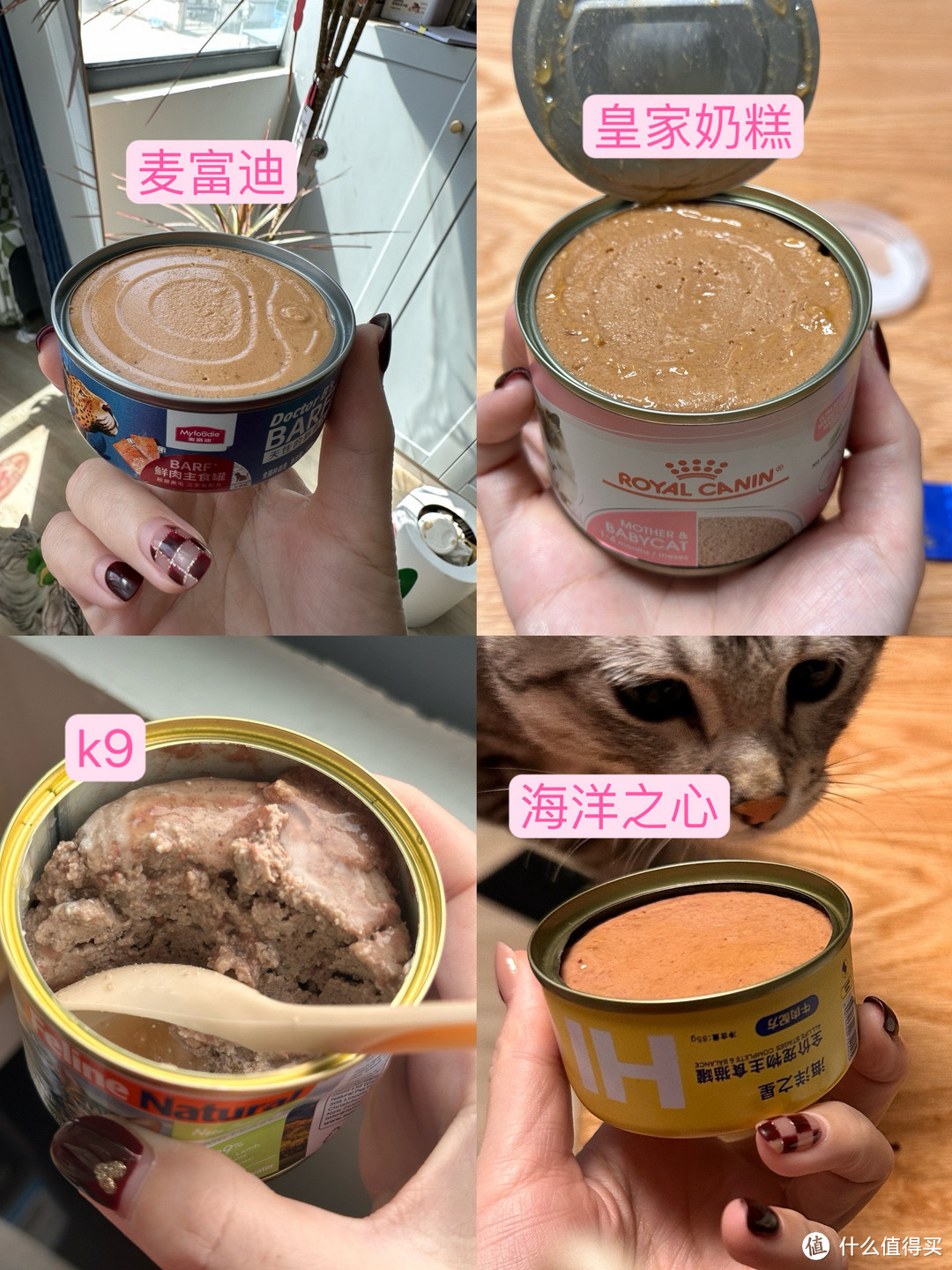 谁家的小猫咪还不是个小宝宝了，分享我的养宠好物