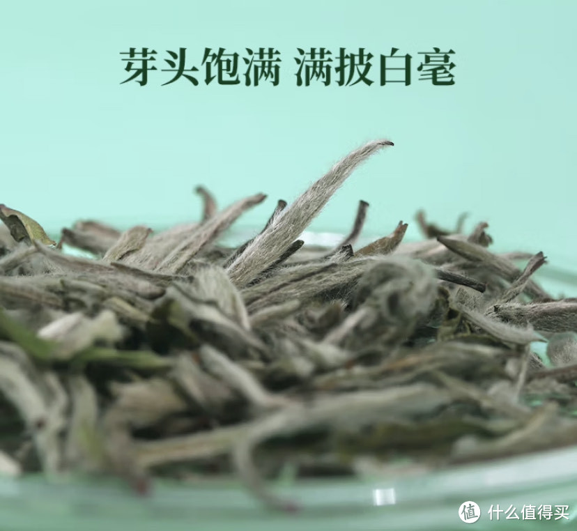 好春茶好福鼎白茶，品品香白毫银针产品评测