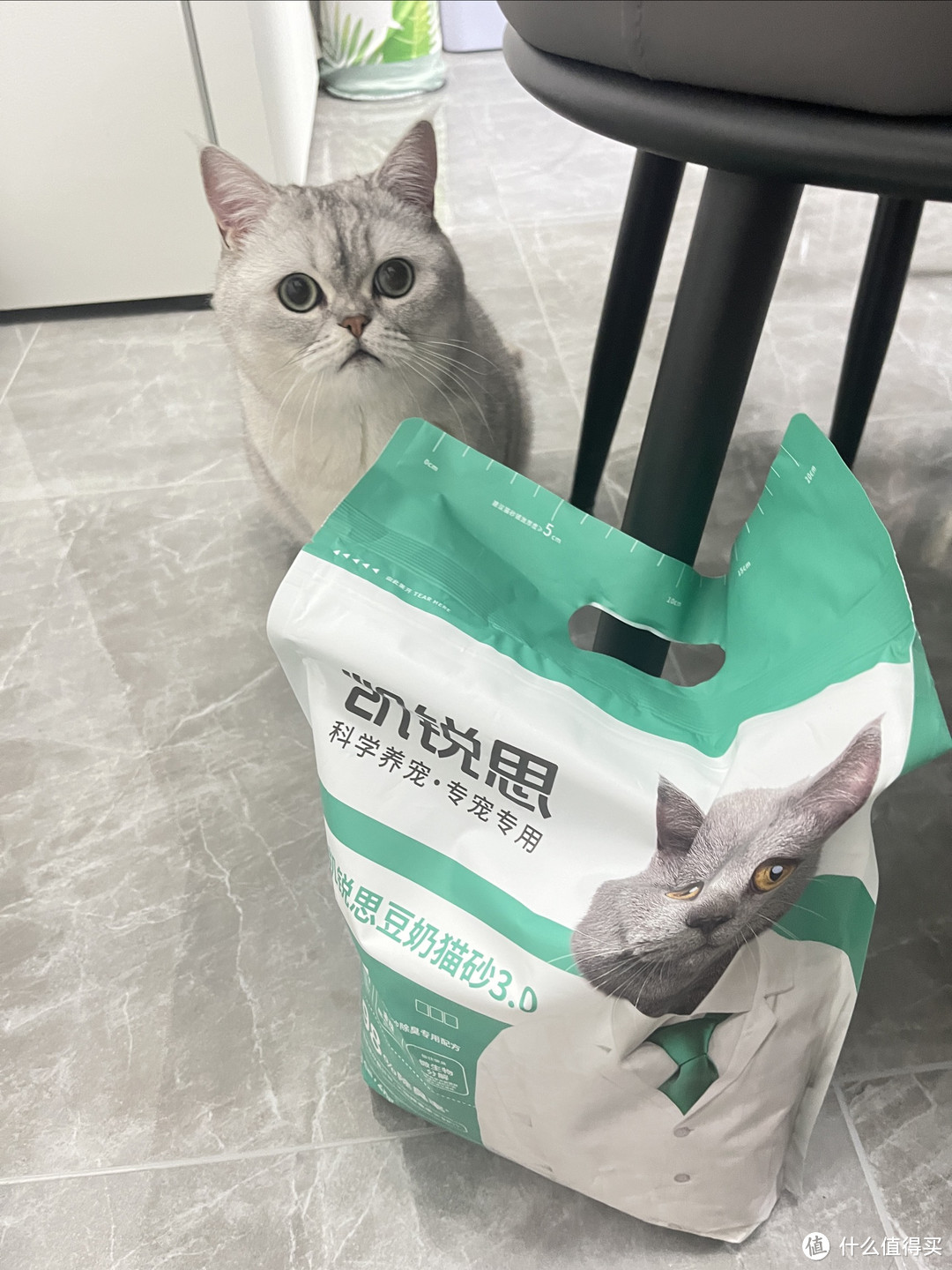 小馒头的除臭法宝～凯锐思豆奶猫砂