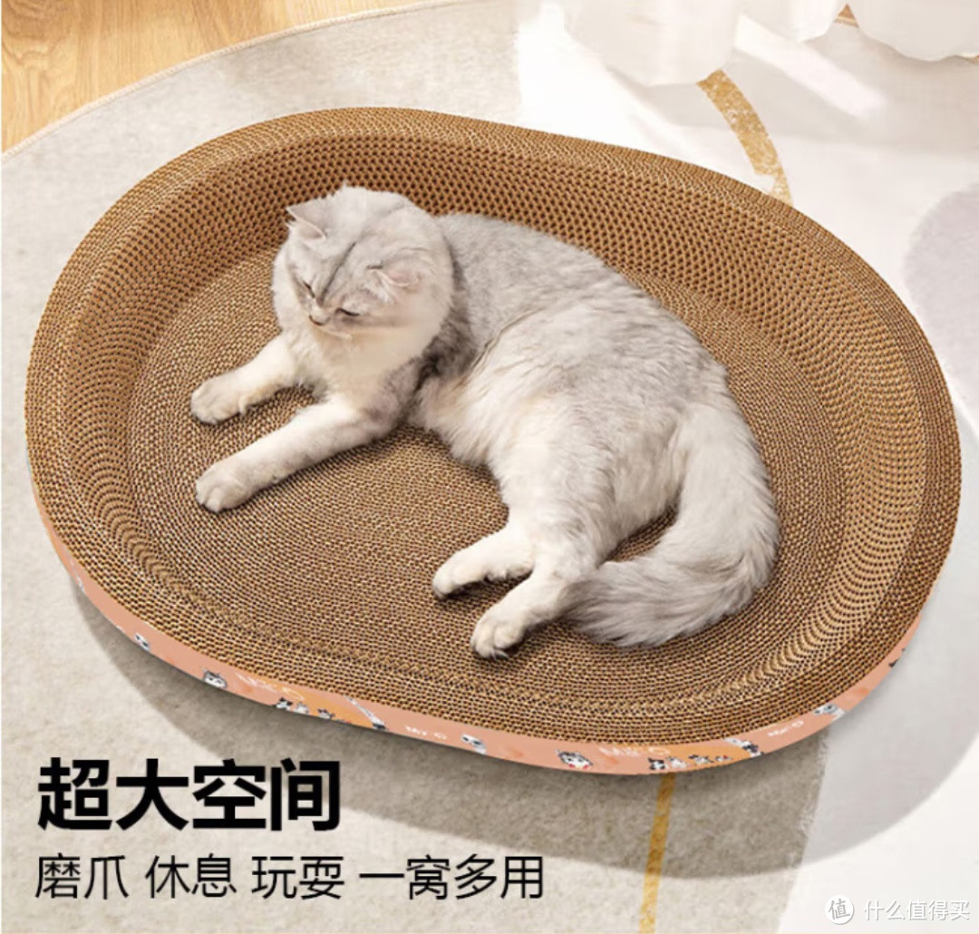 猫咪专属玩具推荐：打造与喵星人的欢乐时光