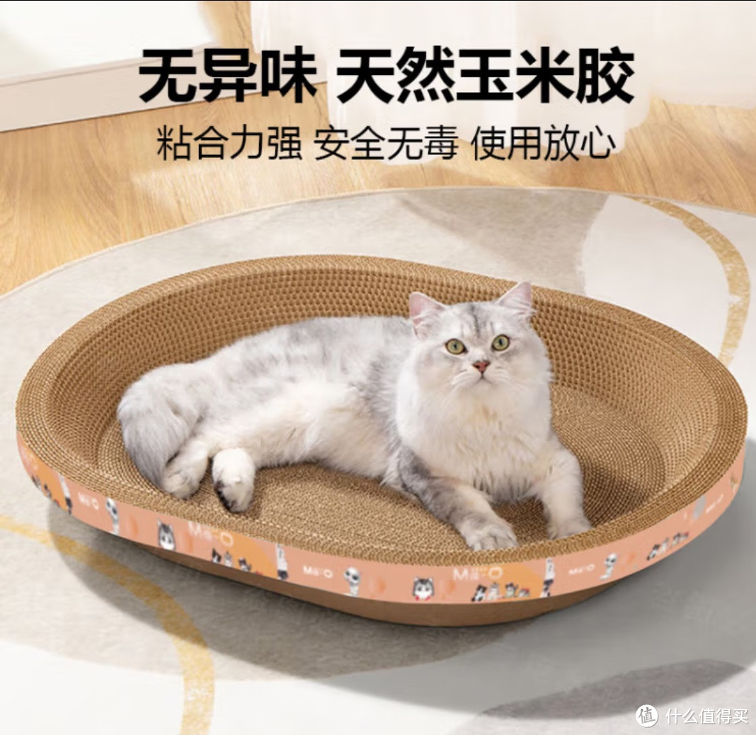 猫咪专属玩具推荐：打造与喵星人的欢乐时光