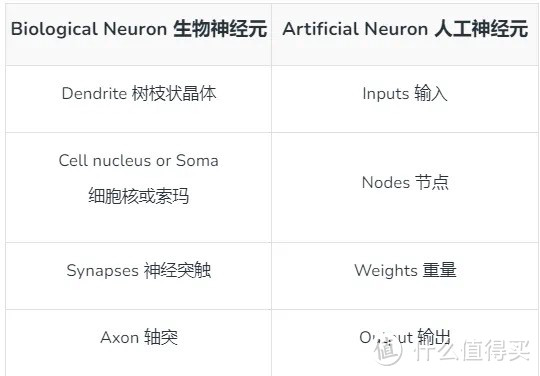 CPU里都在忙着放的NPU，到底是什么东西？