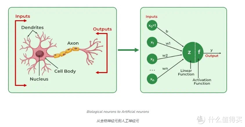 CPU里都在忙着放的NPU，到底是什么东西？