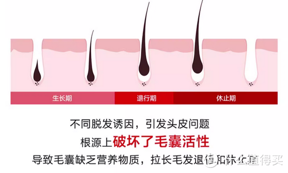 防脱小技巧，帮助你保持头发的健康和浓密