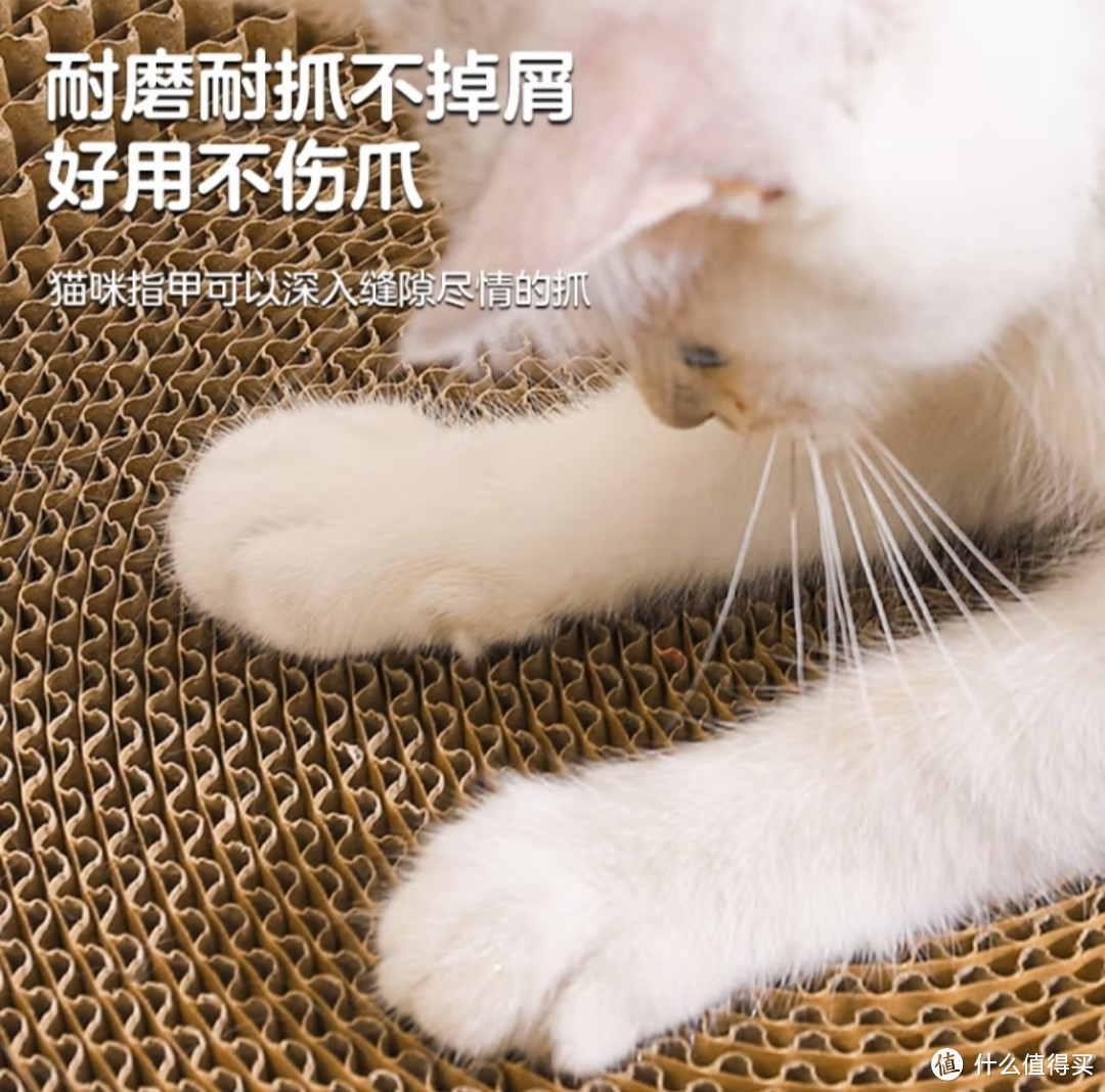 夏季猫咪怕热装备，让猫咪舒服过夏