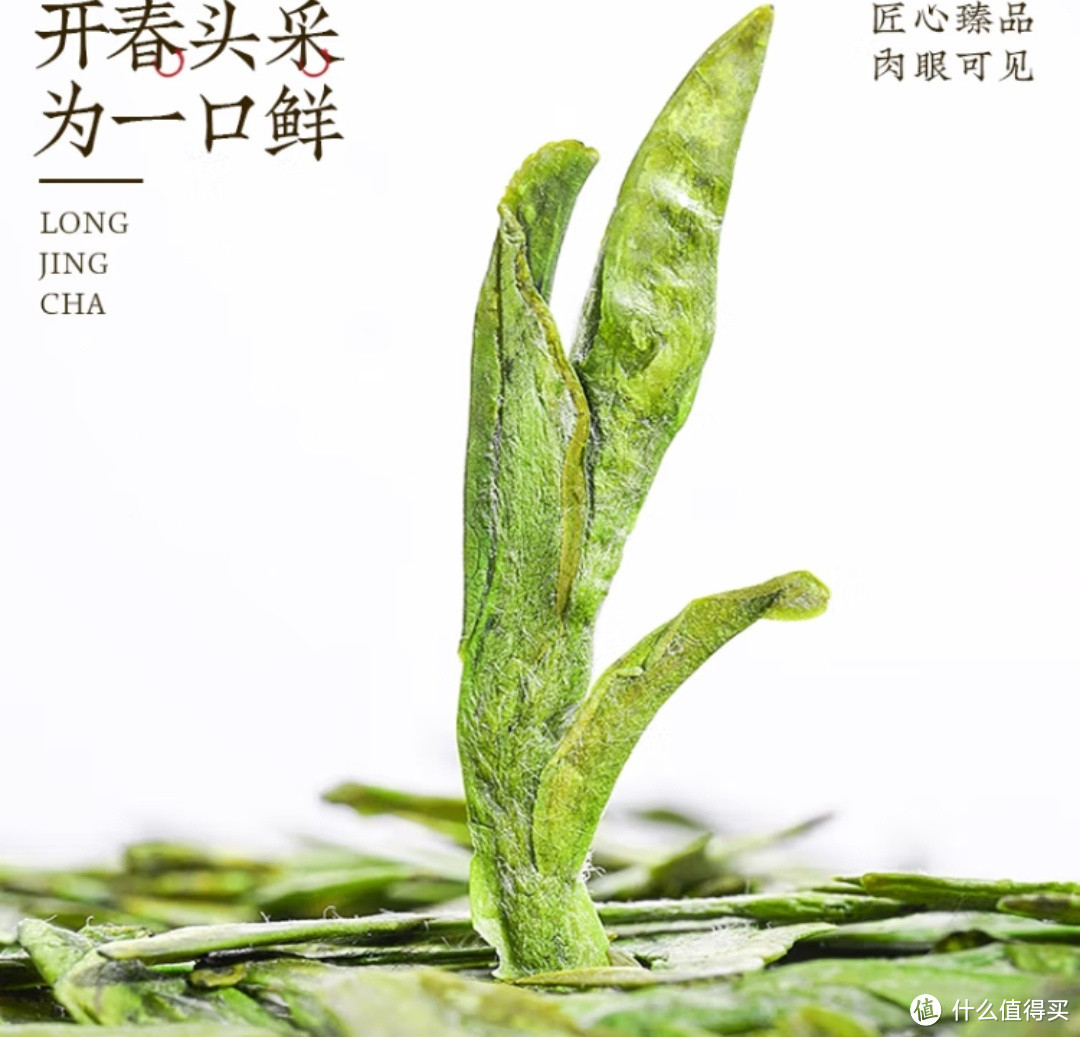 春茶尝鲜！特级龙井绿茶，明前头采，豆香浓郁，你值得拥有！