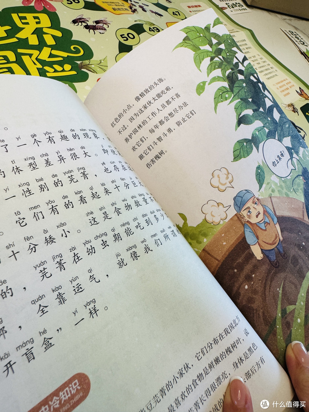 春天来了,带娃走进昆虫世界吧