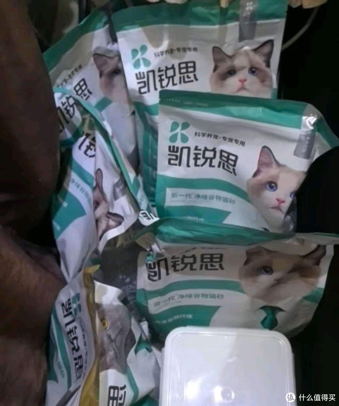 猫砂的选择也要用心