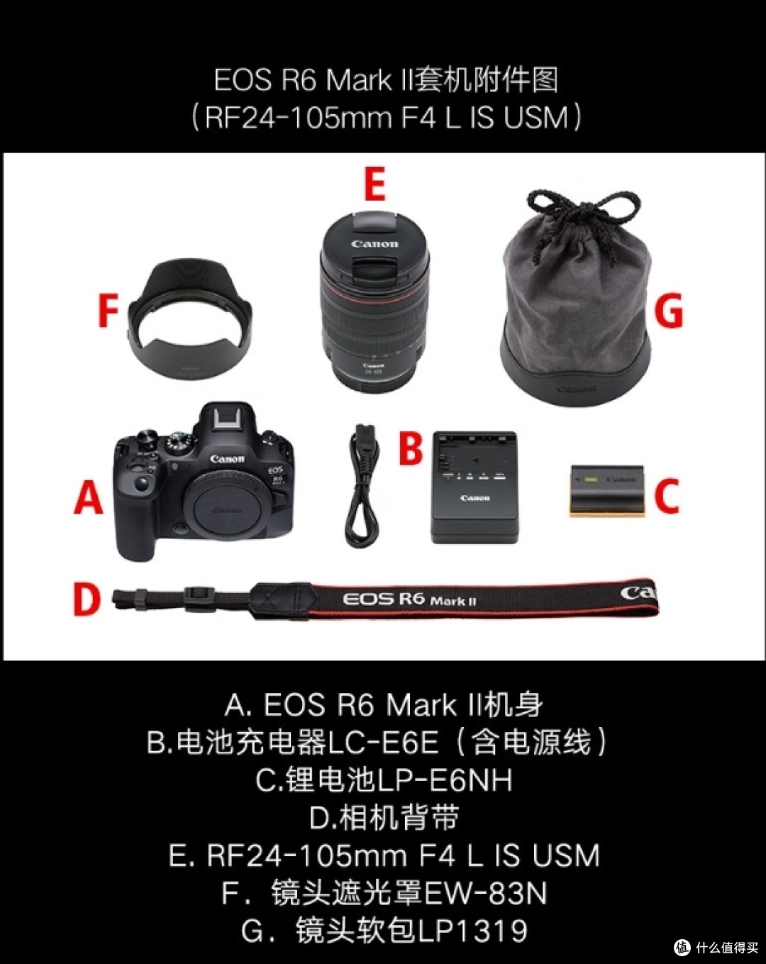 Canon佳能EOS R6 Mark II R6二代性能如何？？？