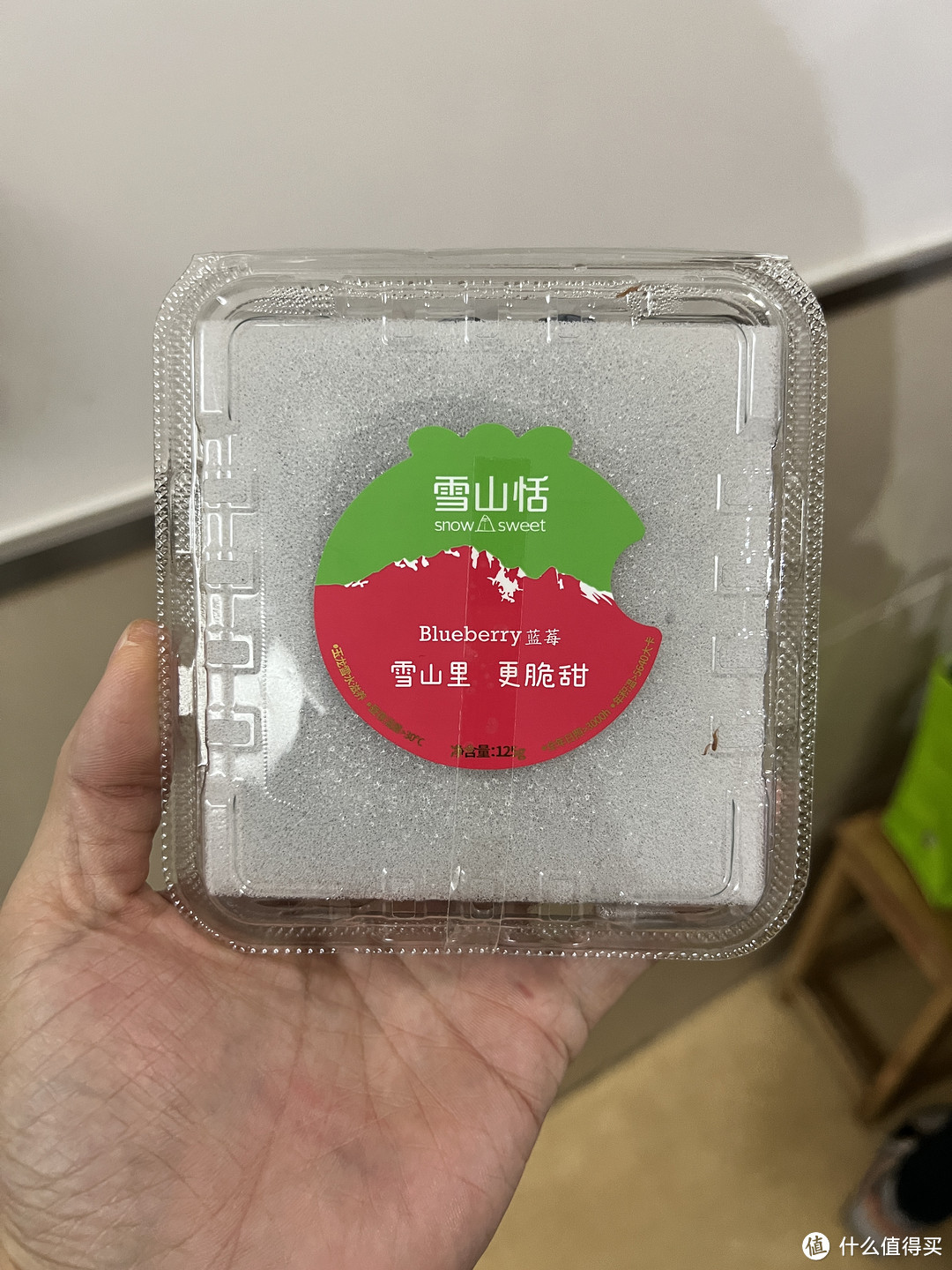 吃到一次天花板的蓝莓——云南稼沃雪山恬