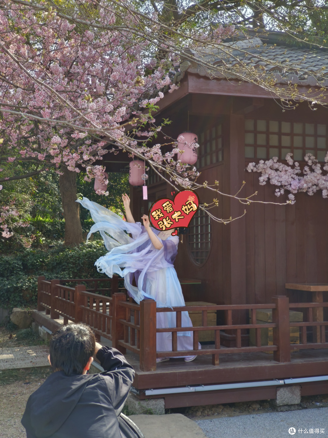 无锡鼋头渚:樱花烂漫的春日胜景
