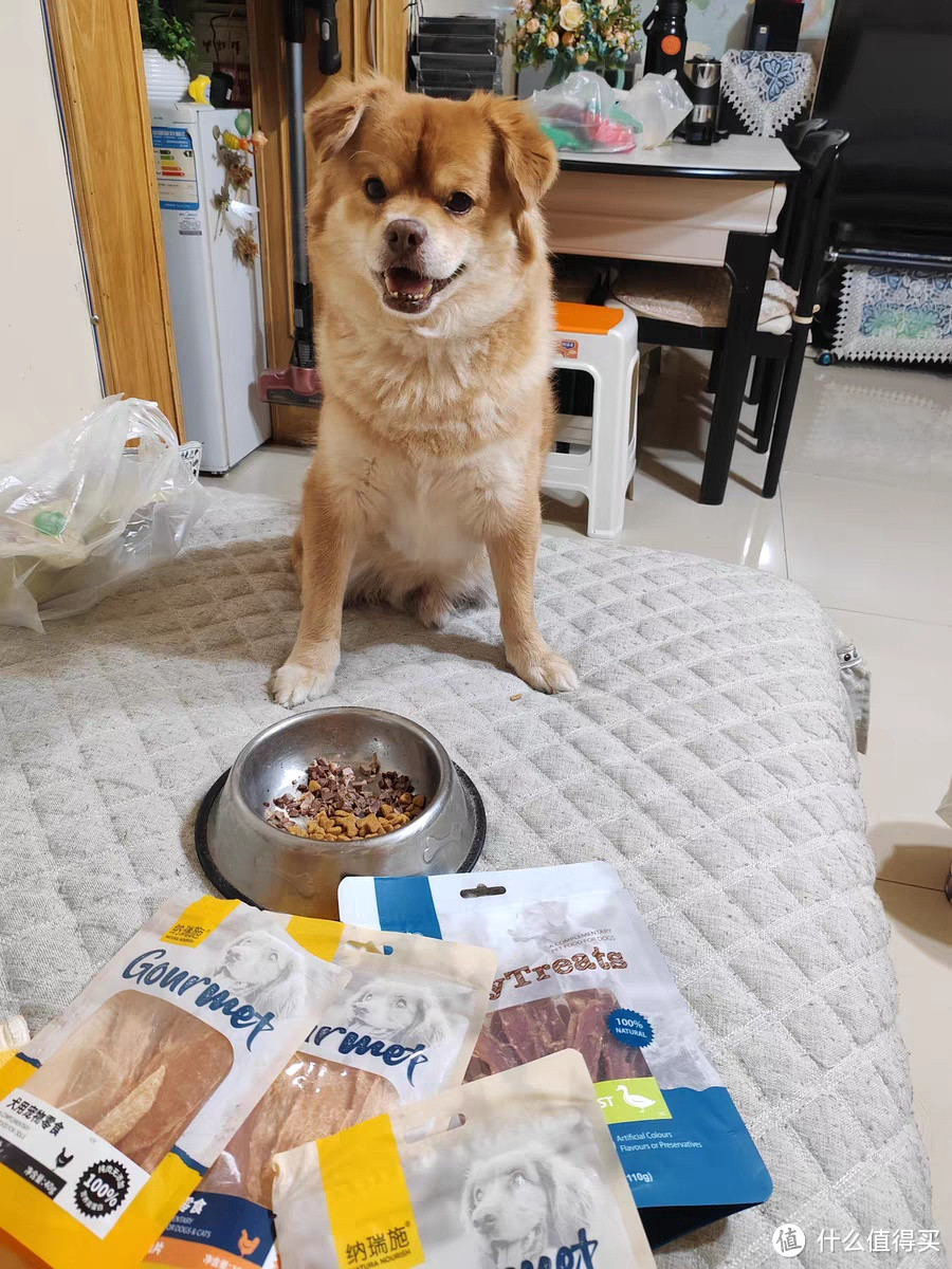 解锁养宠物狗狗零食鸡肉片