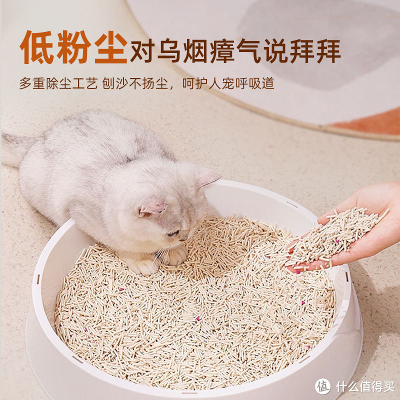 豆腐猫砂：让养猫成为更轻松愉悦的事情🧹