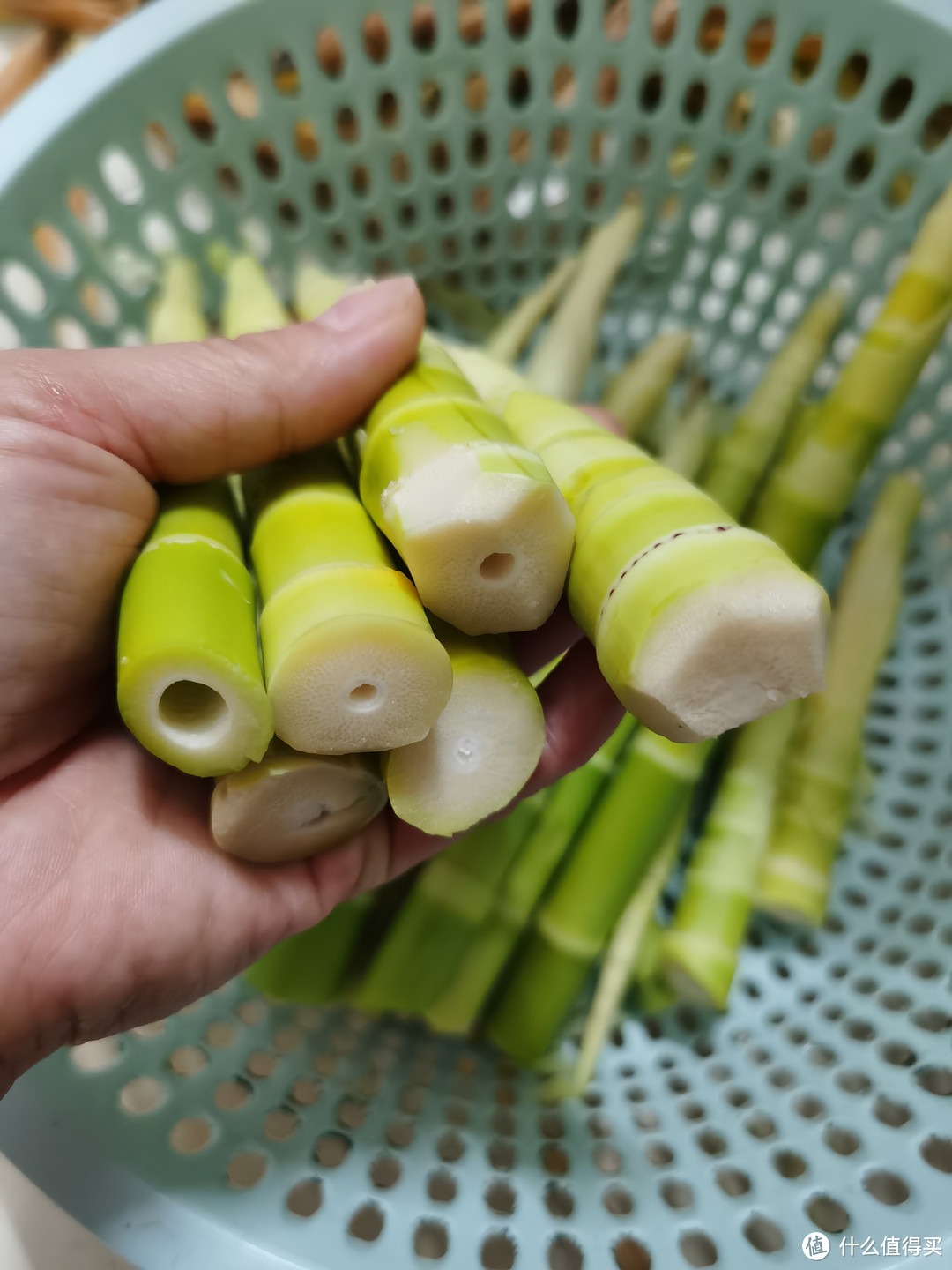 春笋尝鲜季!吃货必备指南