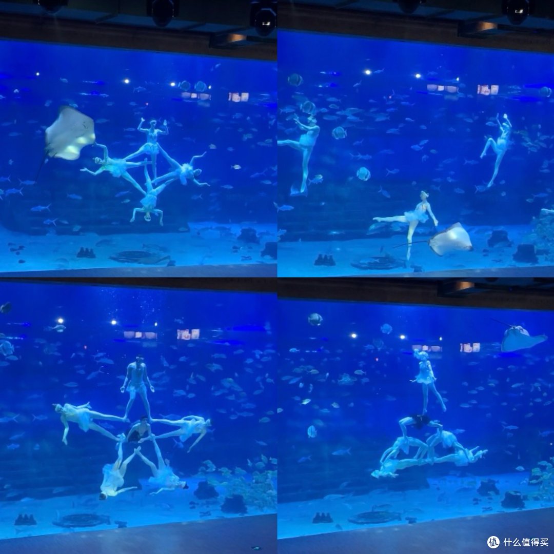 当春天与28度高温天气相遇，萌娃也可以在室内感受春天的魅力！