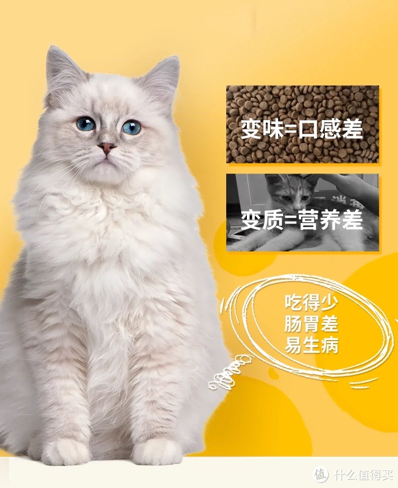 Whycat猫粮：全方位满足幼猫增肥与发腮需求的理想之选