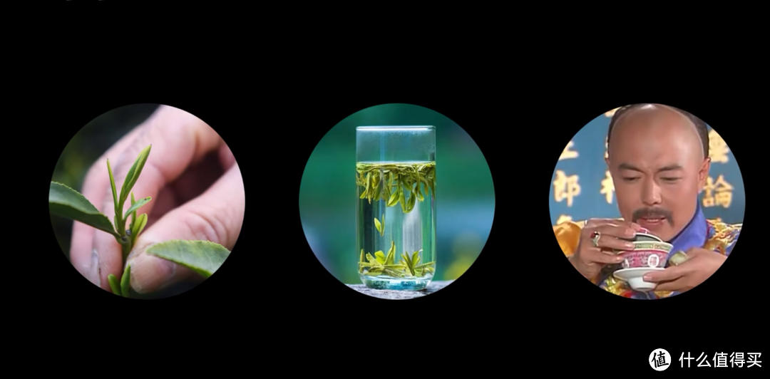 绿茶皇帝龙井,你真了解吗?一文掌握,防止踩雷