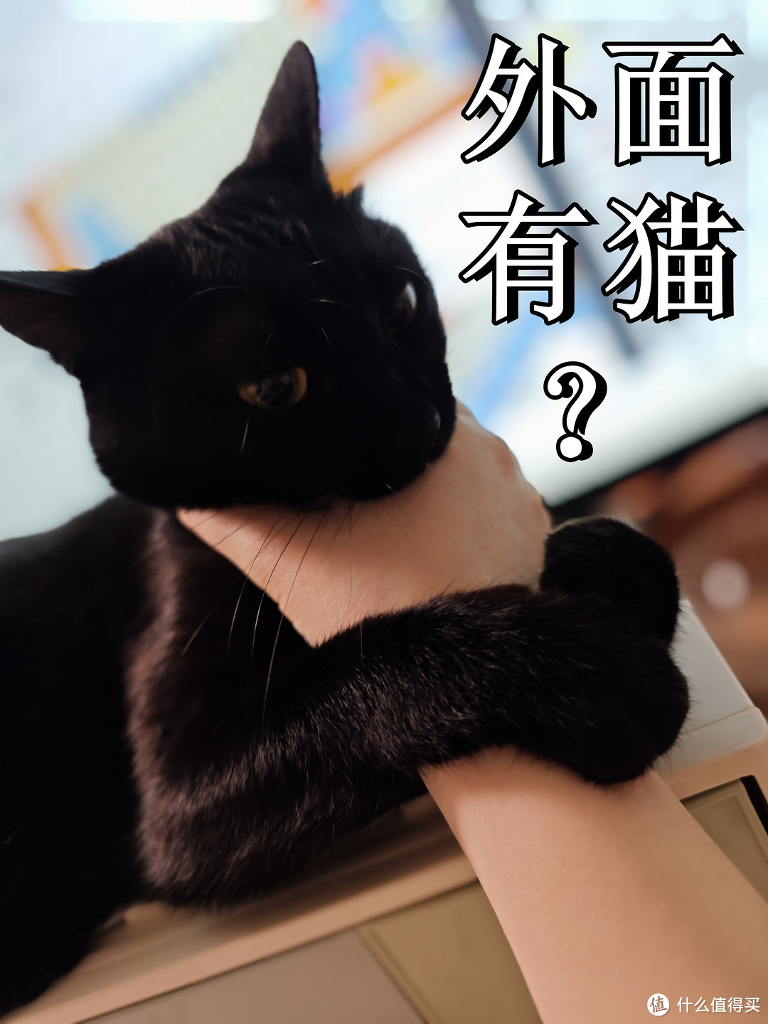 猫粮开袋测评篇一：被小黑发现外面有猫了！瞅瞅我囤的11款网易猫粮~