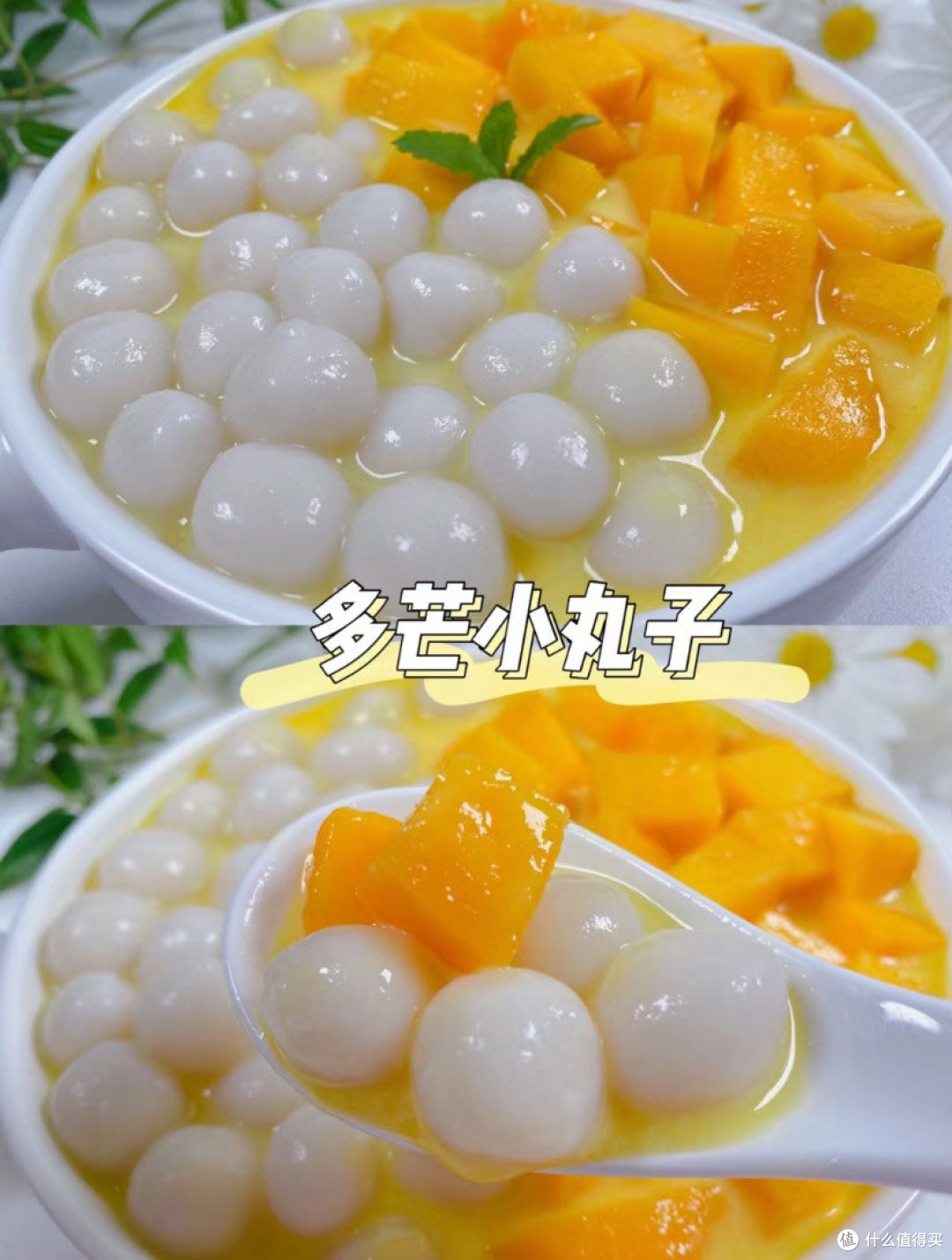 多芒小丸子
