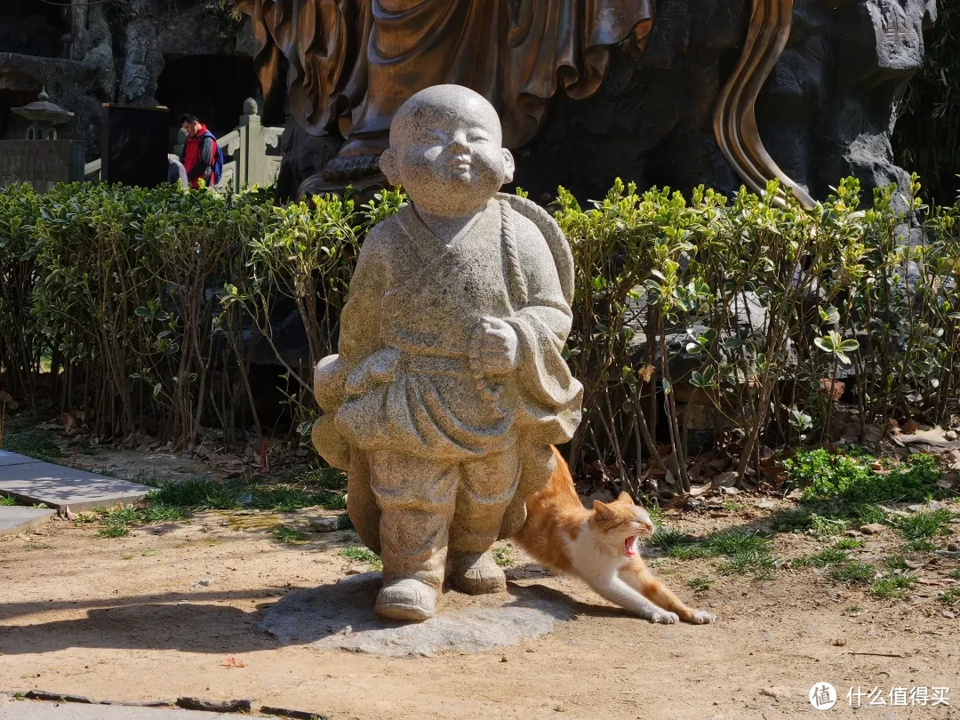 “修仙”体验up！住进千年古刹，是我上辈子修来的福分吧！