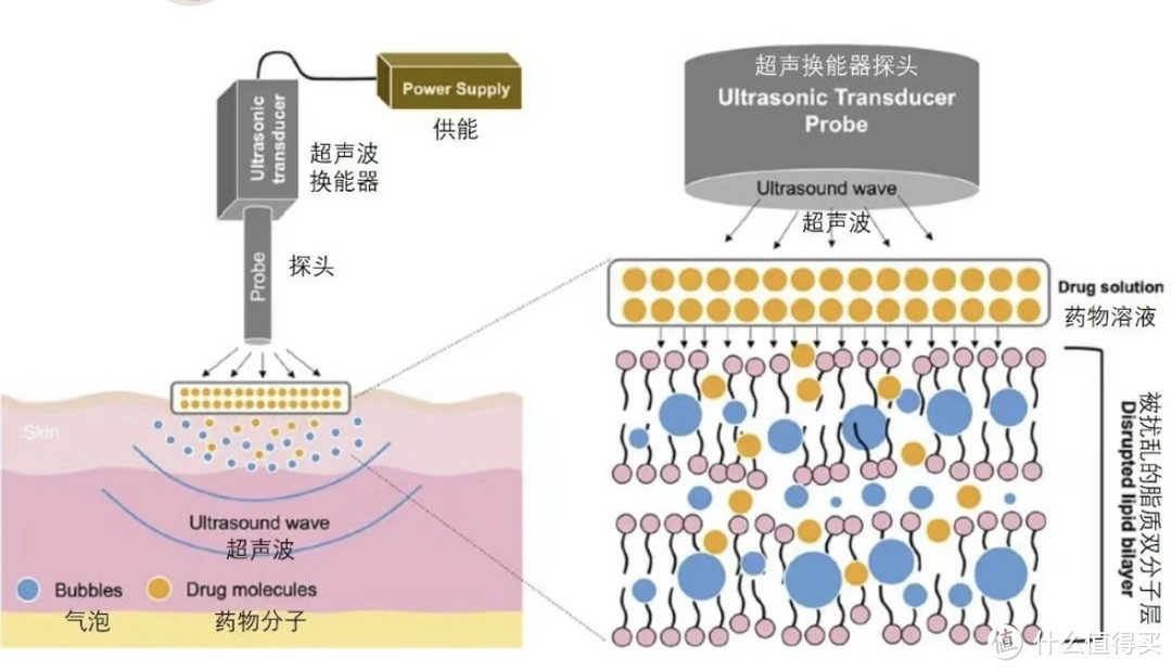 拒绝“光说不练”假把式，莱克吉米“拍打星”B501plus除螨仪深度测评手把手教您除螨仪到底应该怎么选！