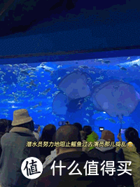 玩上海海昌海洋公园，住它家酒店最划算！