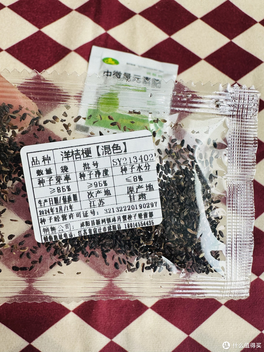 春天来了!我在阳台的花盆里种下了洋桔梗和满天星