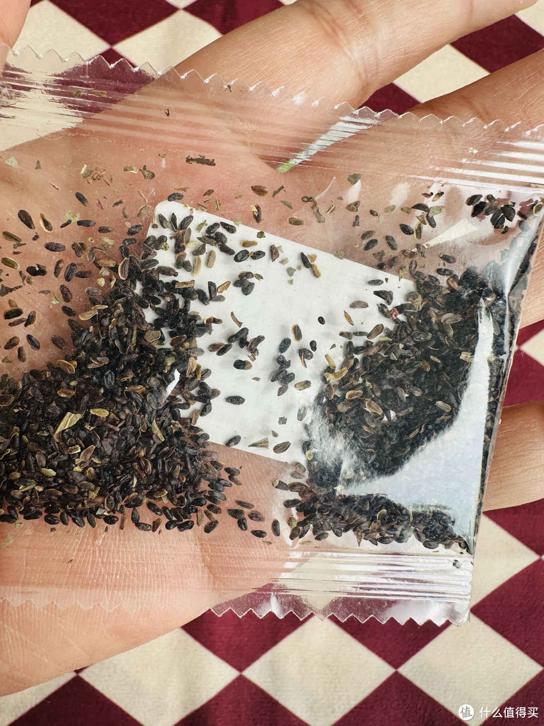 春天来了!我在阳台的花盆里种下了洋桔梗和满天星