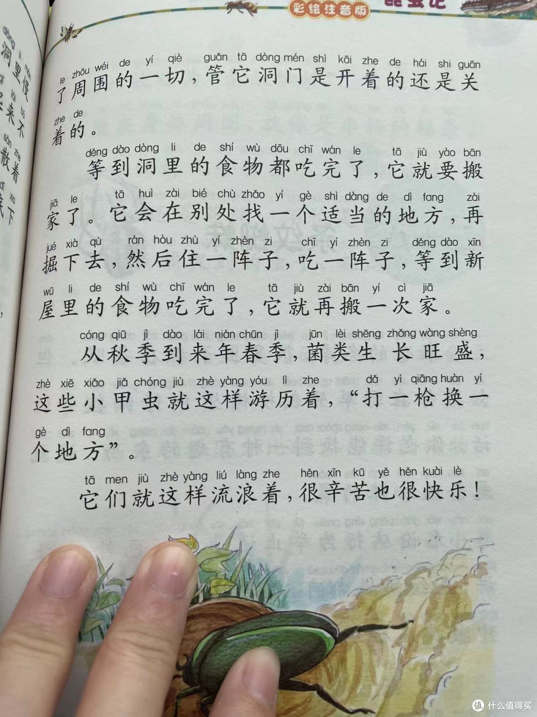 和娃一起读《昆虫记》之吃枯露菌的甲虫