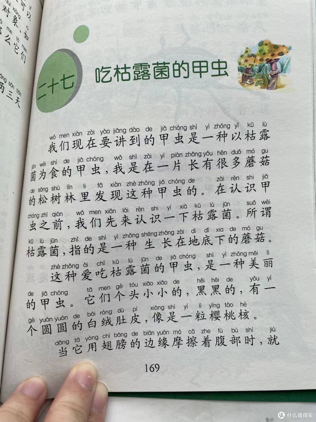 和娃一起读《昆虫记》之吃枯露菌的甲虫