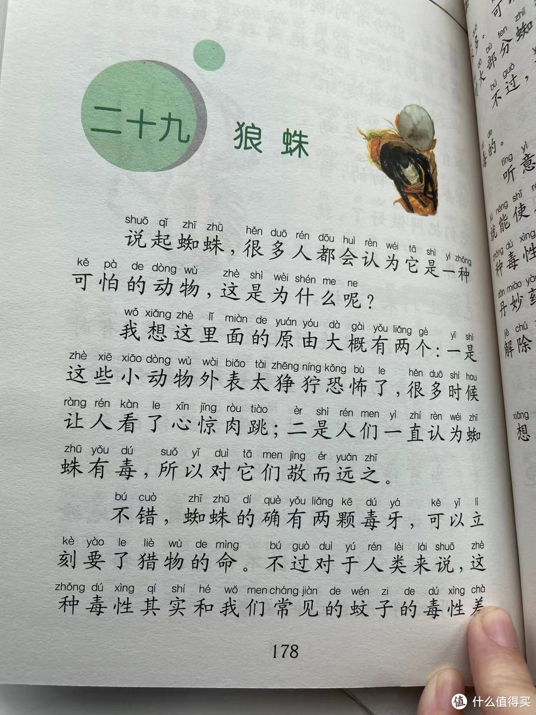 和娃一起读《昆虫记》之狼蛛