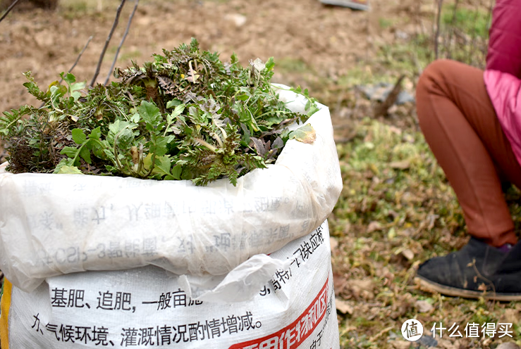 江鱼肥美、野菜味鲜！近期网购没有踩雷的春季限定生鲜食材推荐，吃货快上车！