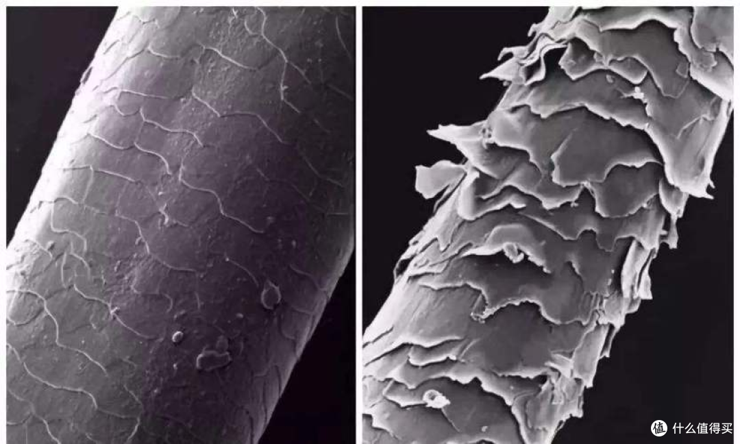 电吹风哪个牌子好？五大高口碑机型测评谁是性能之王