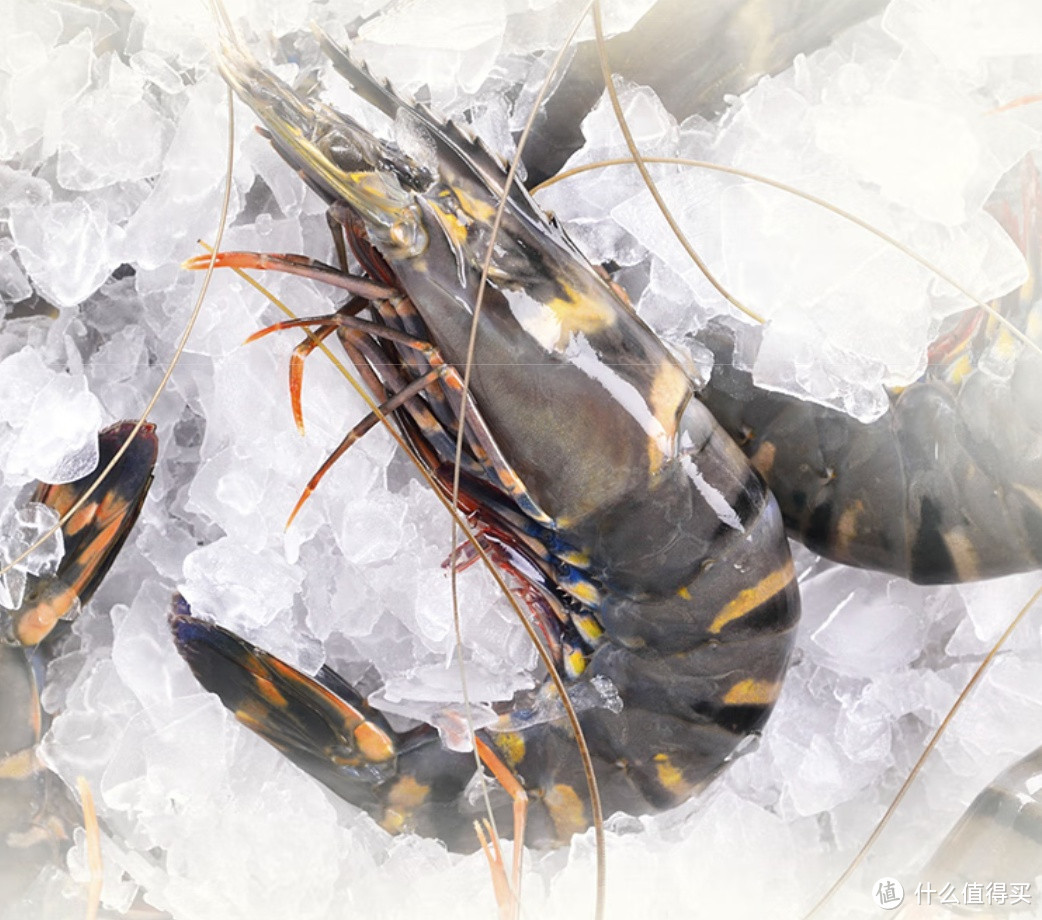京东生鲜泰国活冻黑虎虾：放心消费，春日食鲜正当时