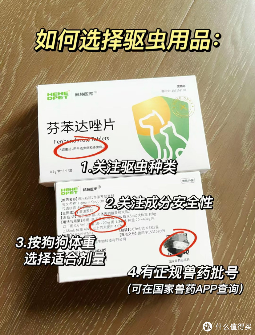 狗狗驱虫🐛注意事项