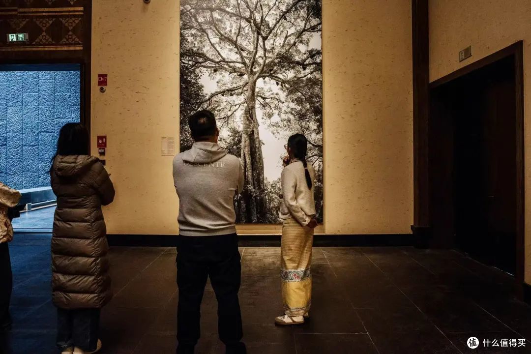 全世界唯一24年必火的地方我押它