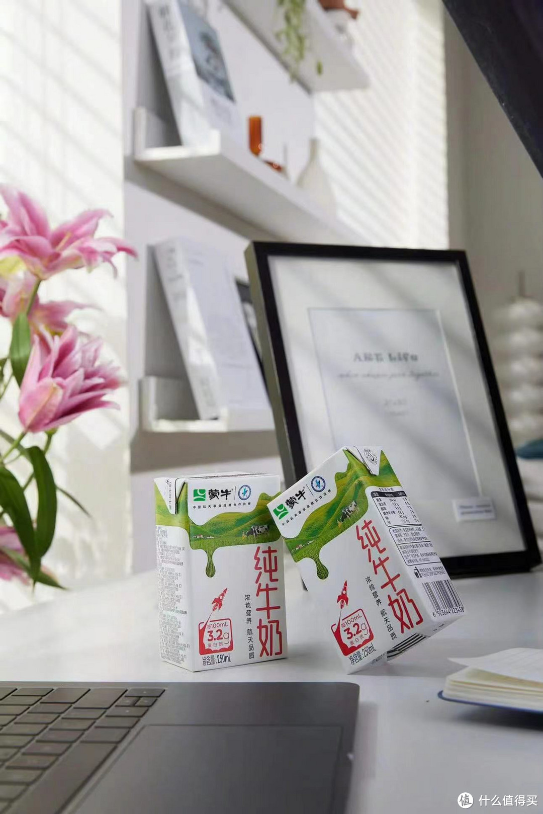 全家共享,营养满分!蒙牛纯牛奶250ml×18包整箱