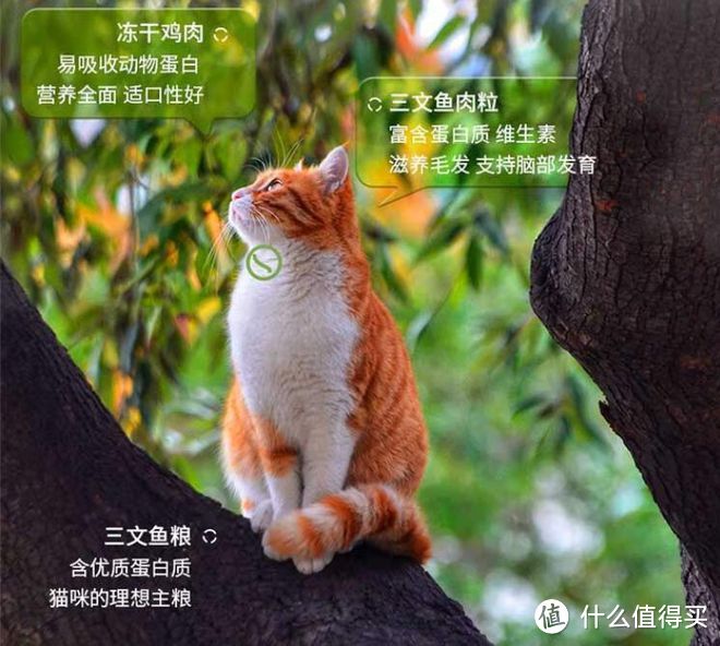 三款猫粮，天然无添加，营养丰富，满足不同猫咪口味！