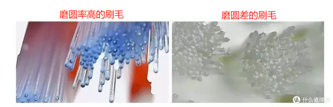 电动牙刷到底好不好？解读声波/旋转/扫振式优缺点