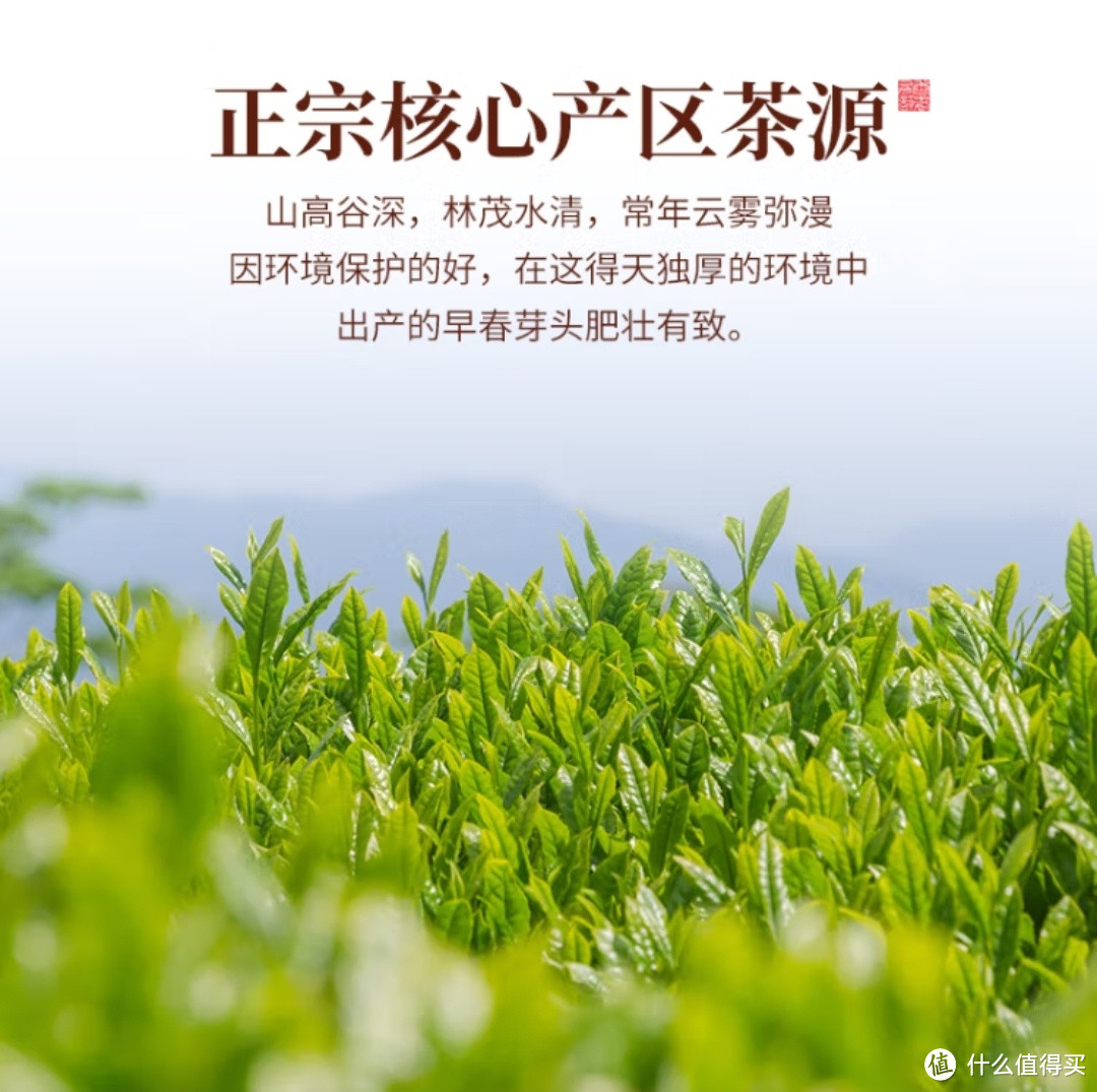 浓香茉莉花茶，便携小方片礼盒装30g，品味春天的第一口鲜