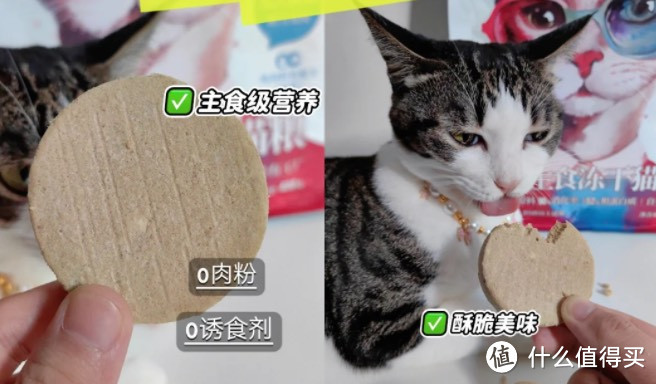 养猫好物清单｜自用分享