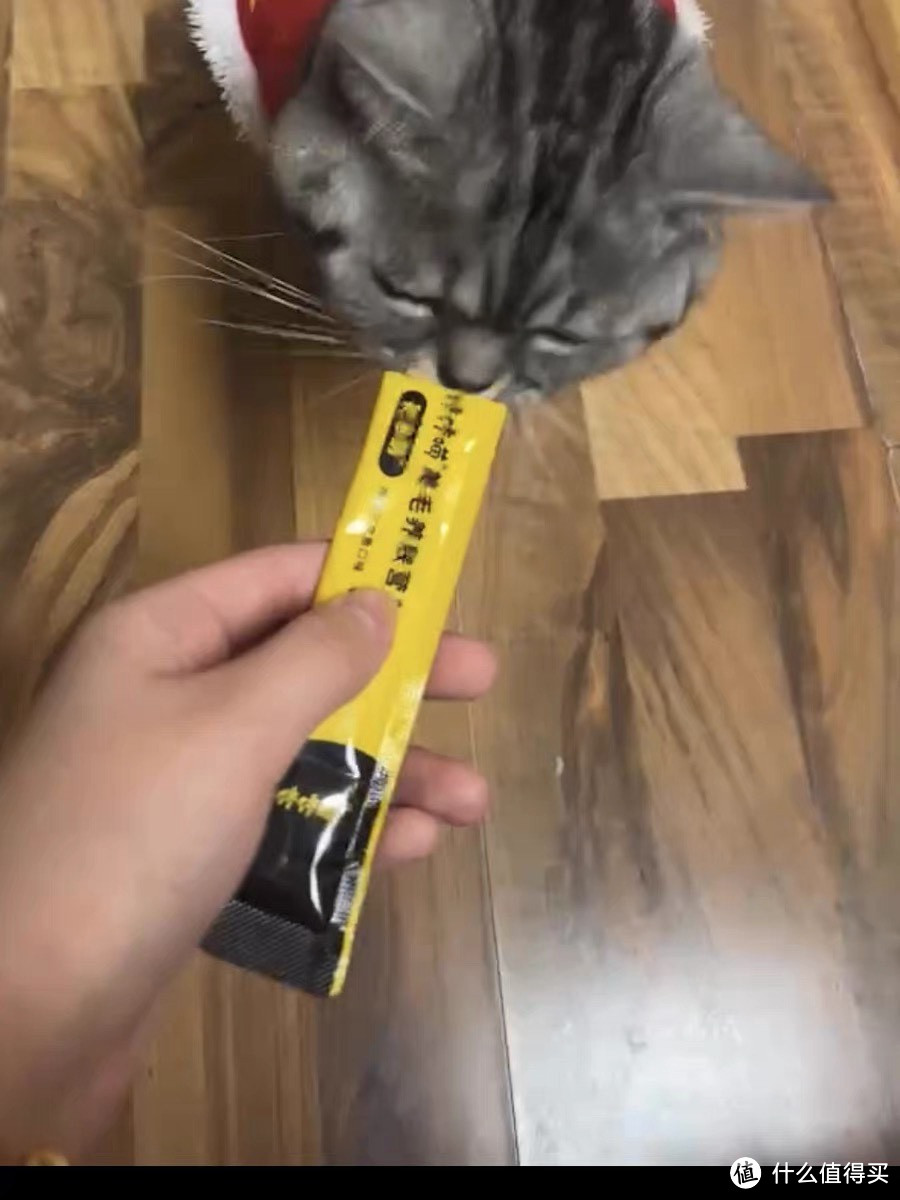 猫条：宠物猫的美味小食