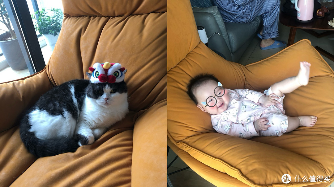 猫子和宝宝的快乐