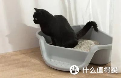 自从养了猫之后...这些场景你一定经历过！