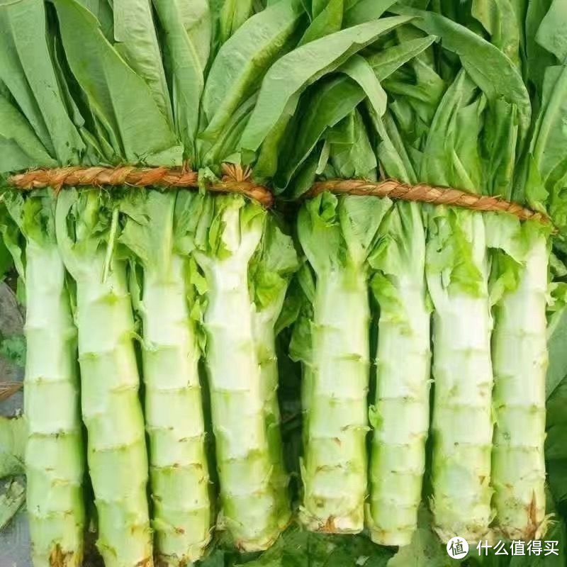 春日烹饪今天分享的是一款莴苣，青菜