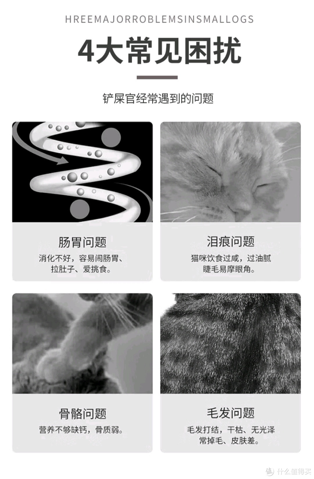 为什么宠物猫咪可以给人带来那么多的快乐？