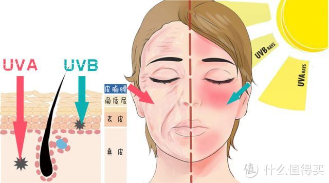 养儿不防老，防晒才防老！物理防晒霜、化学防晒霜傻傻分不清，这里是入门级防晒霜选购指南  