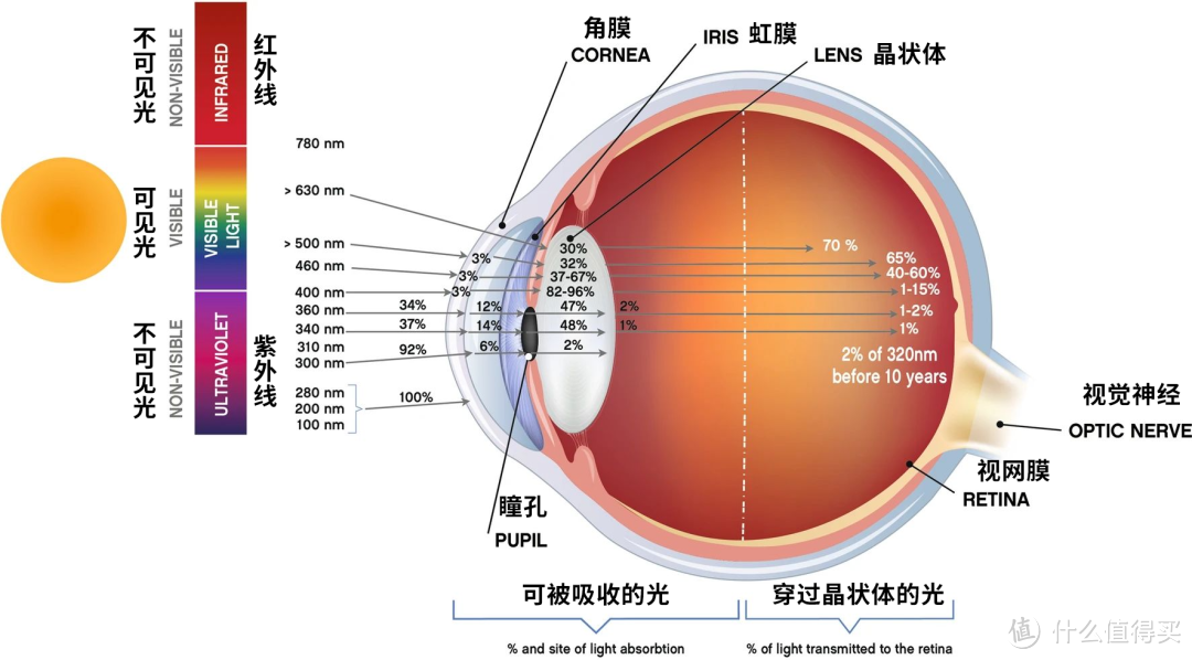 太阳光紫外线是否会引发近视，幼儿及青少年墨镜该如何选购（附儿童墨镜推荐）